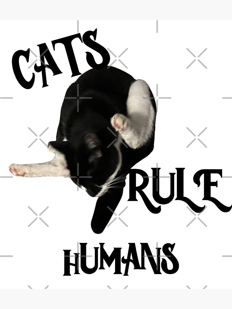 "Cute Tuxedo Cat rules Humans cat self clean" Poster for Sale by TeAnne