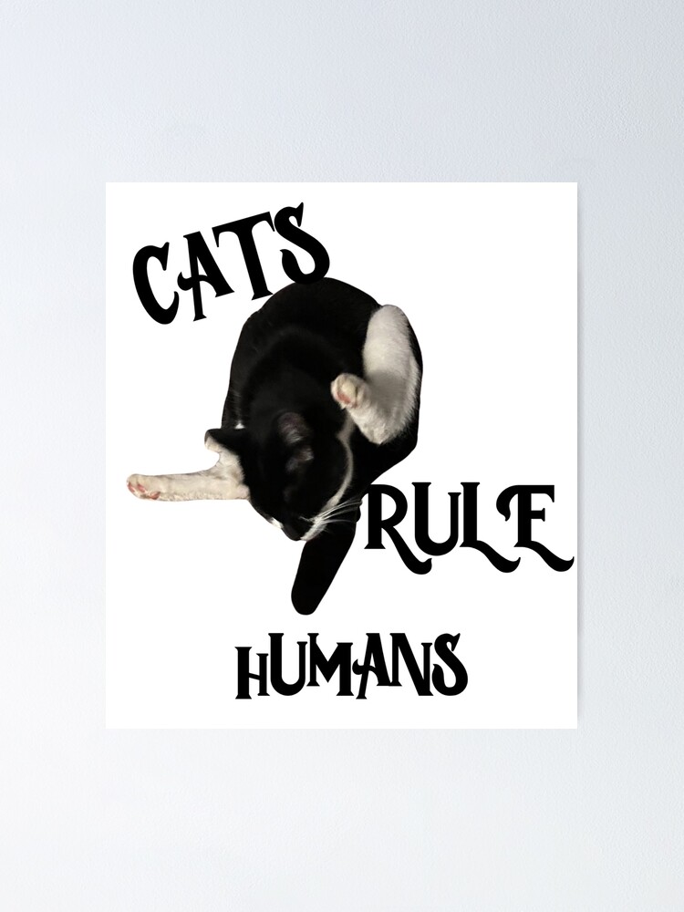 "Cute Tuxedo Cat rules Humans cat self clean" Poster for Sale by TeAnne