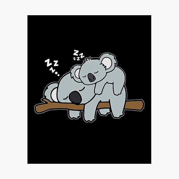 Laminas Fotograficas Familia Koala Redbubble