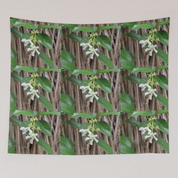 Item preview, Star jasmine up close designed and sold by greentiger1.