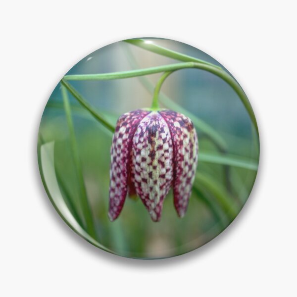 Item preview, Fritillary Flower  designed and sold by Alisonchambers2.