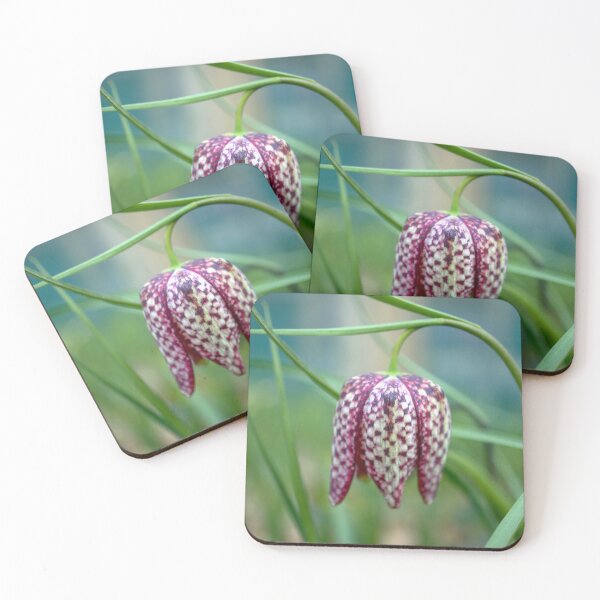 Item preview, Fritillary Flower  designed and sold by Alisonchambers2.