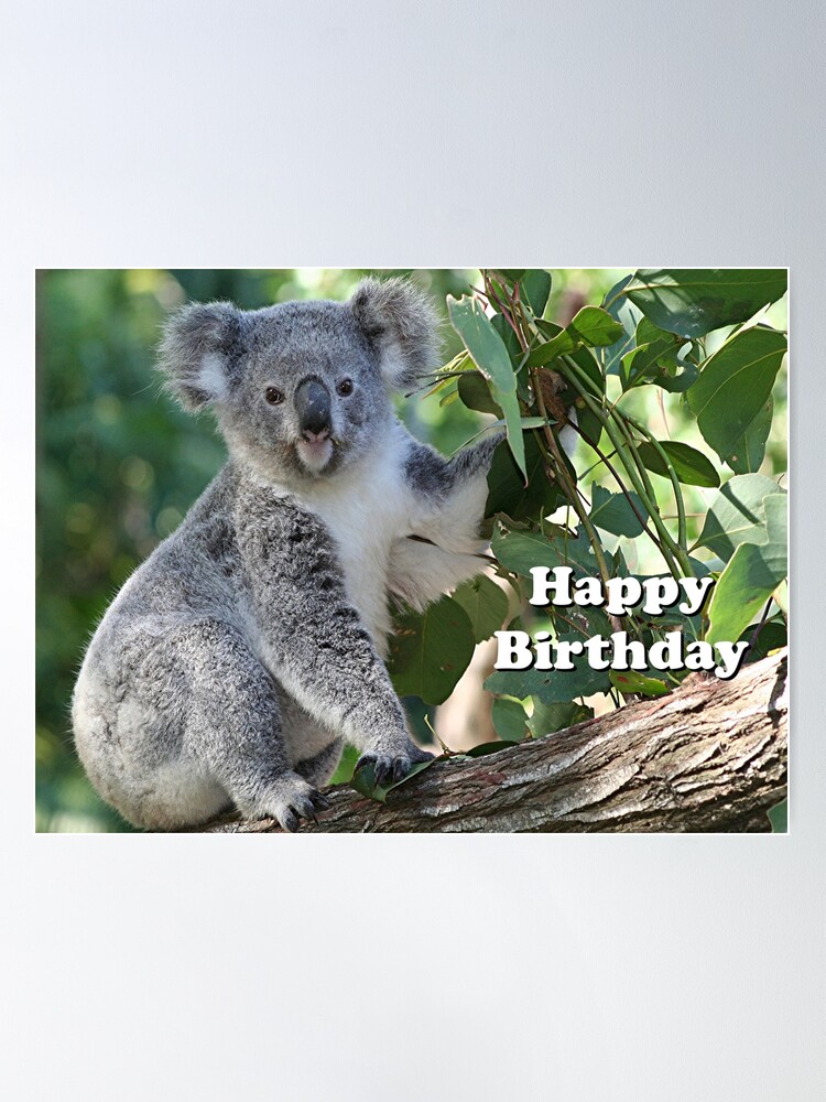Affiche anniversaire personnalisée - koala
