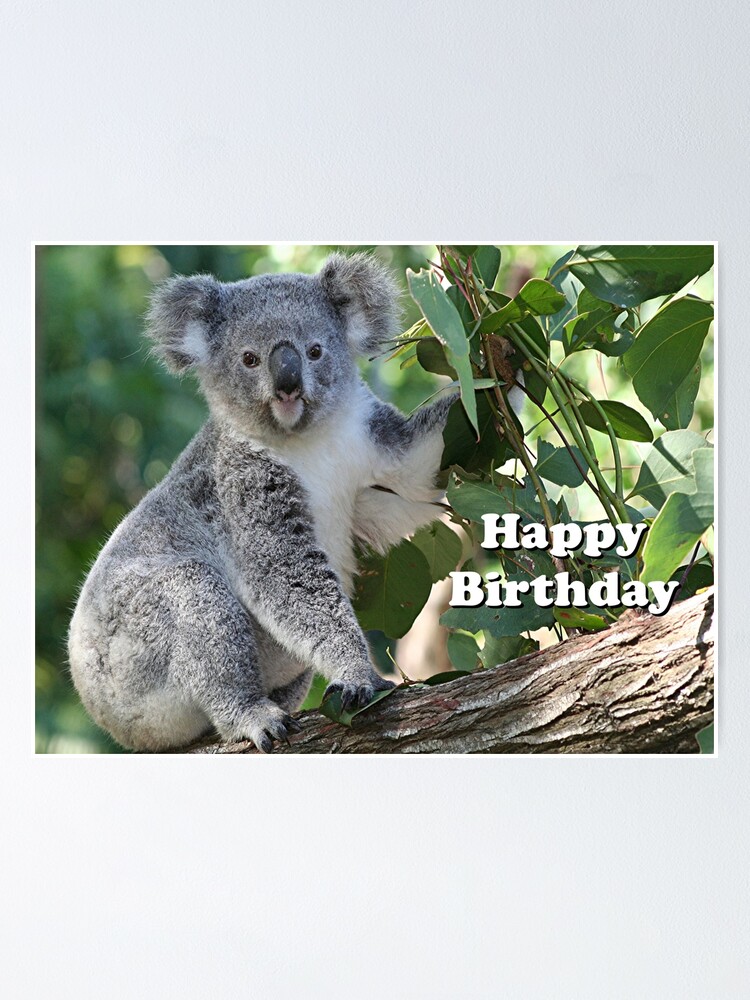 Happy Birthday: cute koala" Poster by FranWest | Redbubble