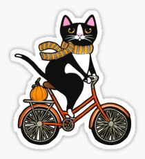 Cat on a Bicycle Sticker