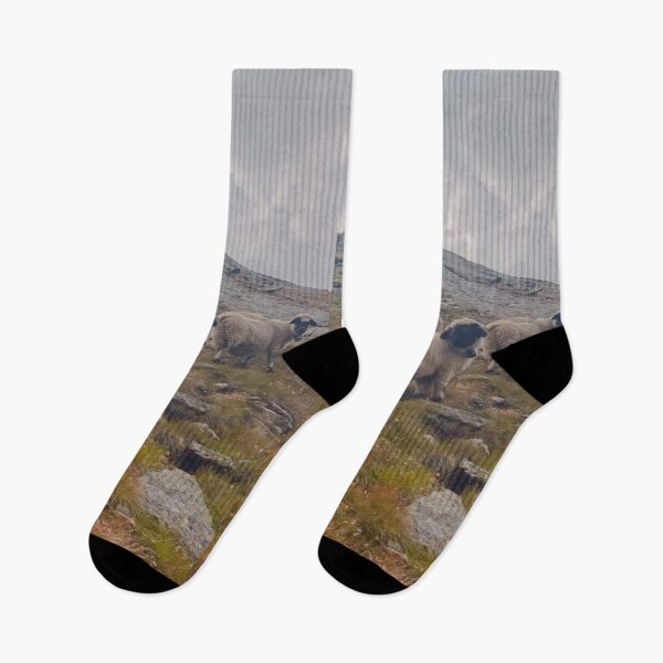 Item preview, Cute sheep in the mountains in Switzerland designed and sold by Barolina.