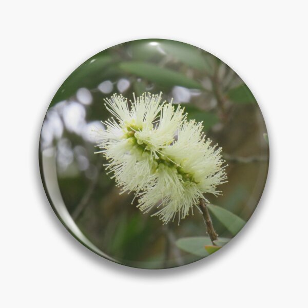Item preview, Melaleuca flower designed and sold by greentiger1.