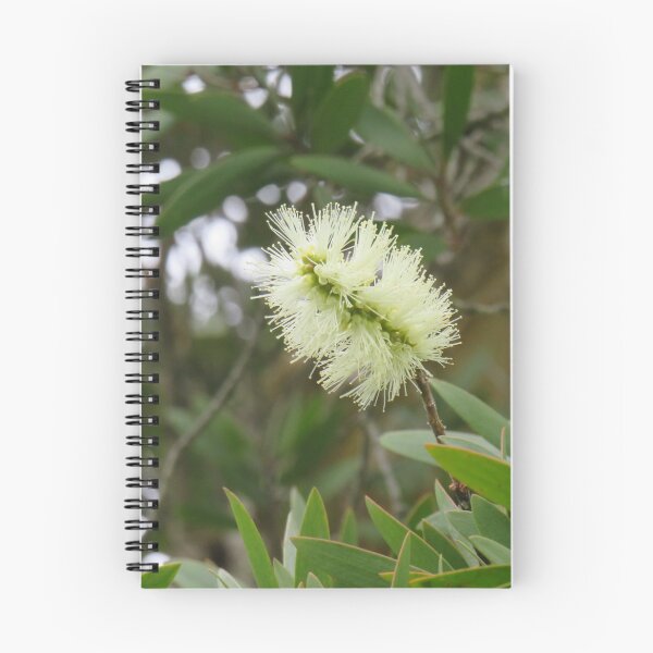 Item preview, Melaleuca flower designed and sold by greentiger1.