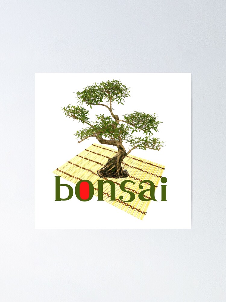 Bonzai  Bonsai garden, Plants, Micro garden