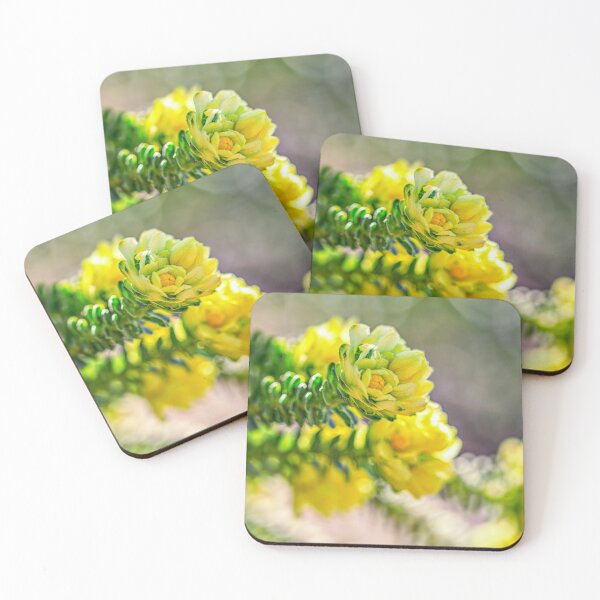 Item preview, Lemon Delight 1 designed and sold by Carolyn's Captures - Original Photohgraphy.