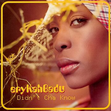 Erykah Badu Didnt cha know