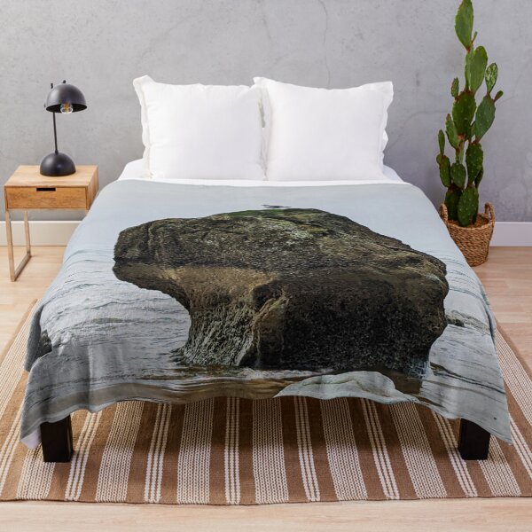 Item preview, Seagull on a Rock (original photo) designed and sold by Grace Feucht.