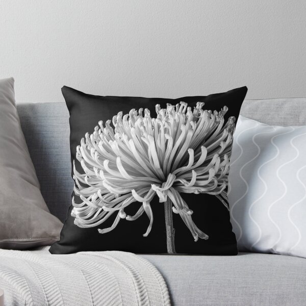 Item preview, Chrysanthemum designed and sold by jaks.