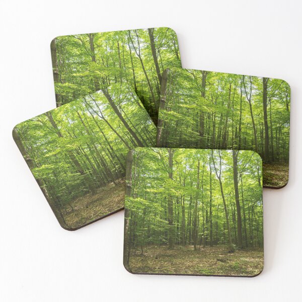 Item preview, Forest Bathing - Walking Through a Summery Sun Dappled Glade designed and sold by Georgia Mizuleva.