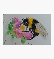 Bumble bee and pink flower Photographic Print