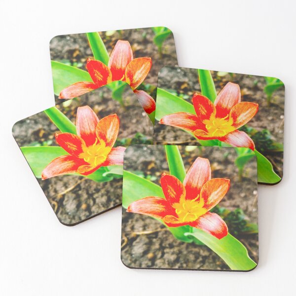 Item preview, Red beautiful tiger lily in full blossom  designed and sold by helenkaiy.