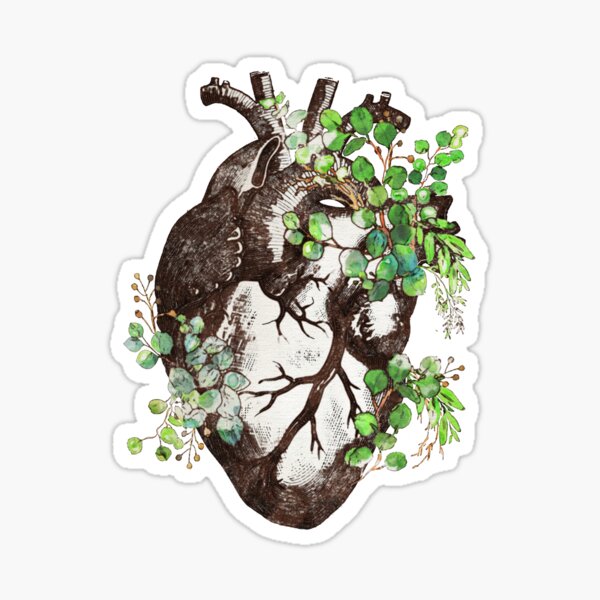 Item preview, Eucaliptus leaves Heart Human Anatomy, illustration art anatomy, drawing and color designed and sold by Collagedream.