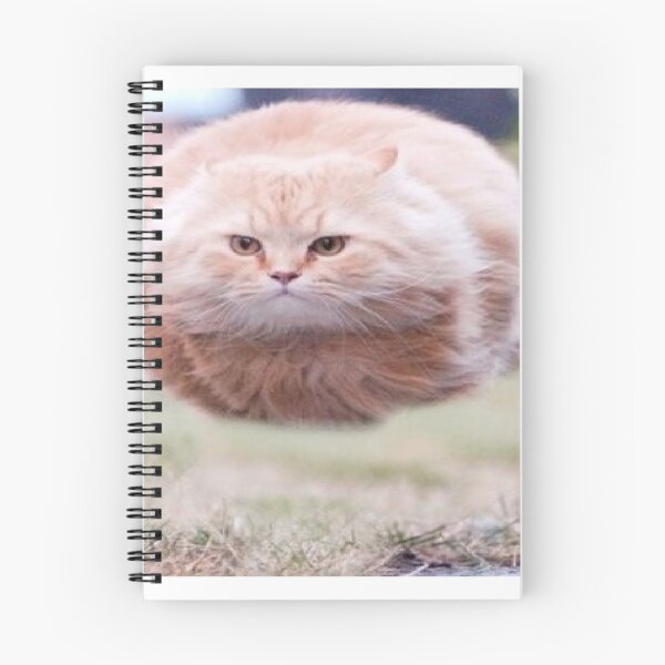Item preview, Floating Cat designed and sold by ladybugsr-cool.