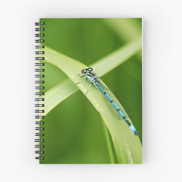 Item preview, Blue damselfly designed and sold by SweetLemon.