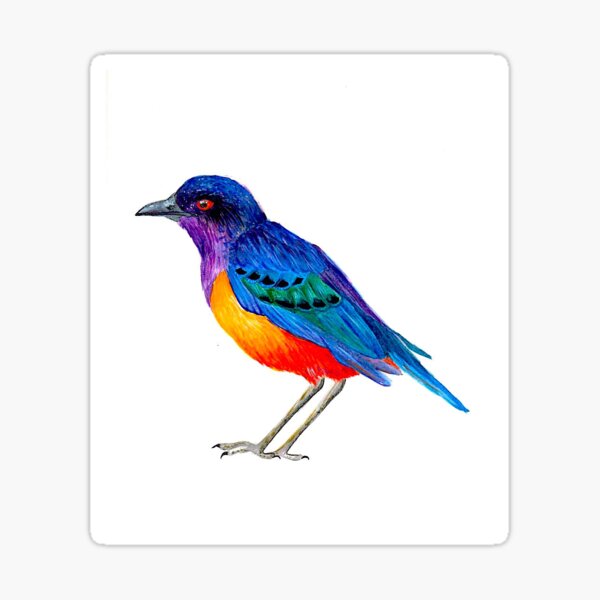 Bird Sticker