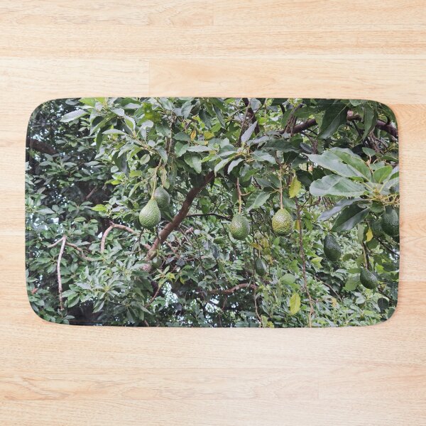 Item preview, Avocado Tree designed and sold by Brasilia.