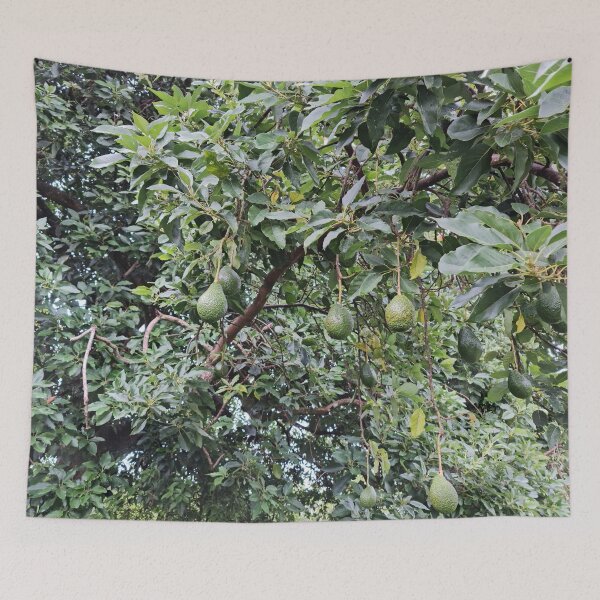 Item preview, Avocado Tree designed and sold by Brasilia.