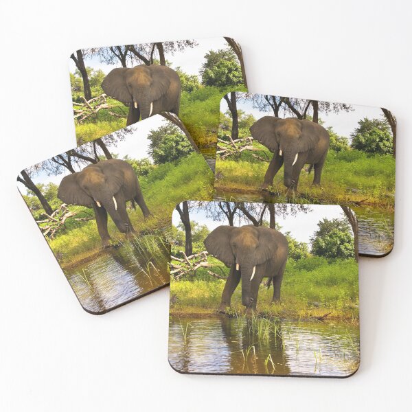 Item preview, Lone Elephant Chobe River Botswana Africa designed and sold by PhotosEcosse.