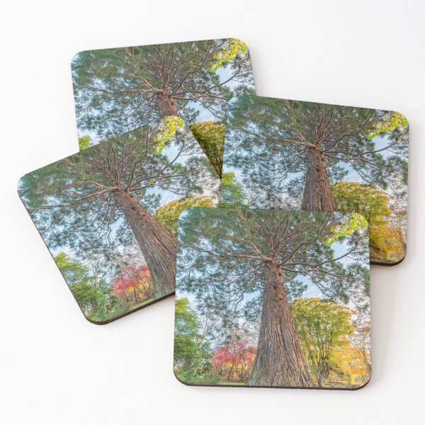 Item preview, Giant Redwood Tree designed and sold by AJEvans.