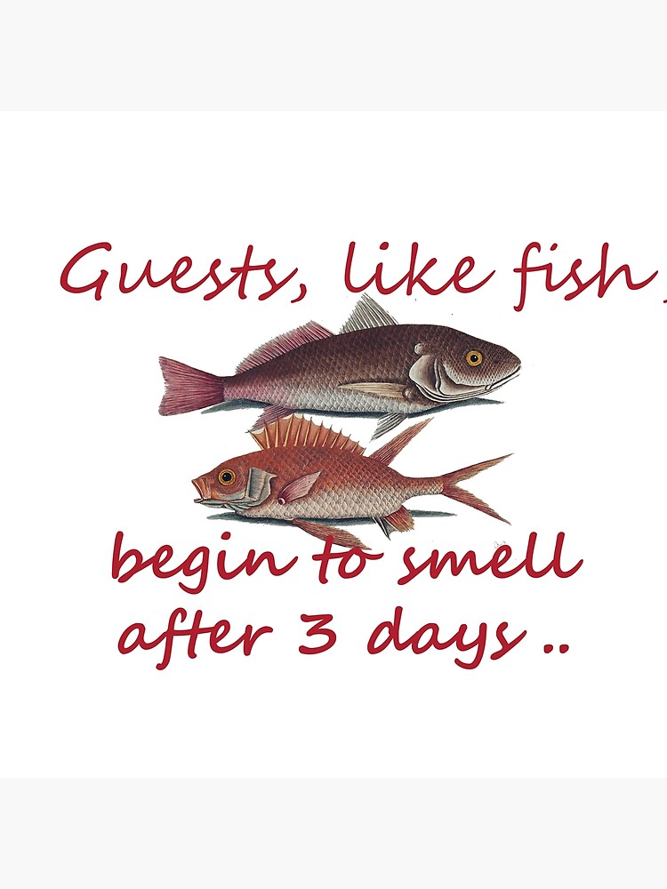 Guests Are Like Fish