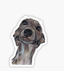 GREYHOUND g909 Sticker