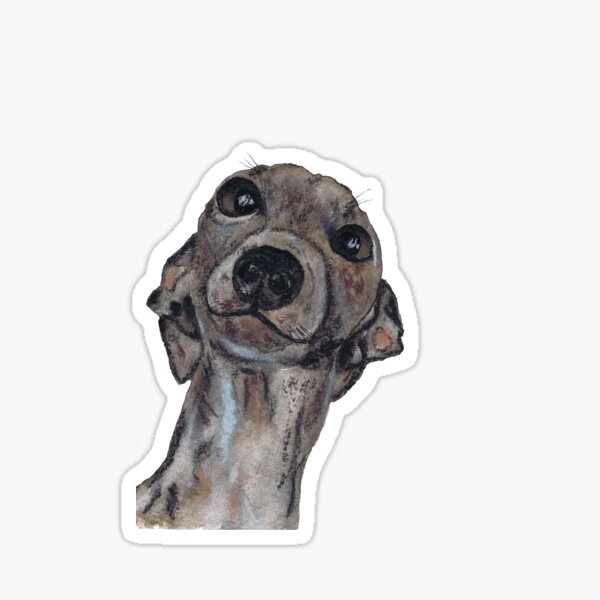 GREYHOUND g909 Sticker