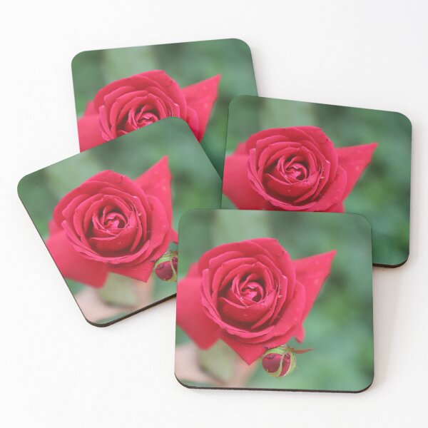 Item preview, Hand holding a fresh deep red rose with a bud in green nature designed and sold by FCEalin.