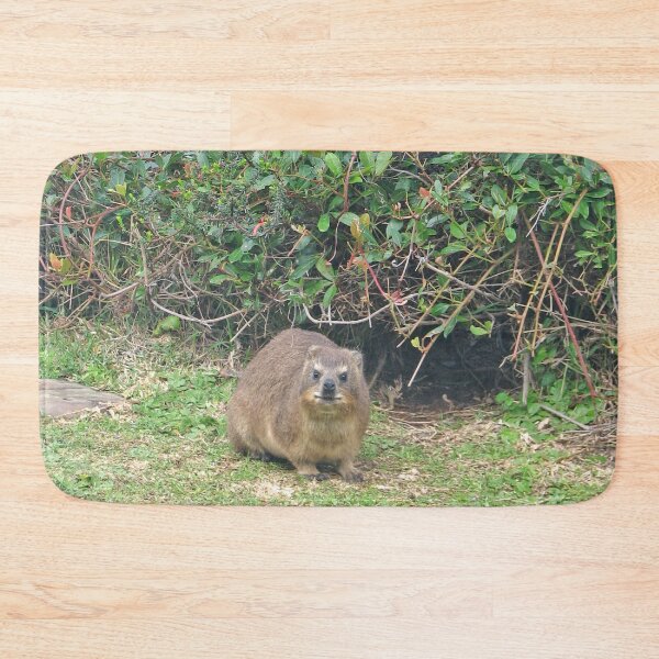Item preview, Cute Rock Hyrax Dassie Table Mountain, South Africa designed and sold by worldways.