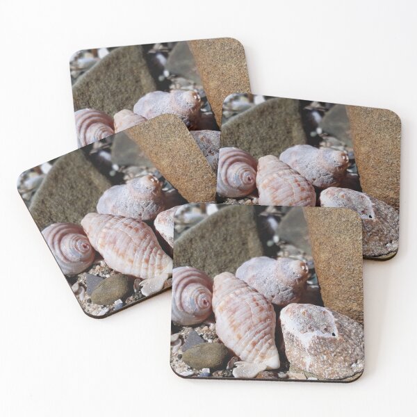 Item preview, Seashells at the Beach designed and sold by Beachy.