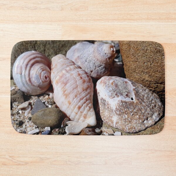 Item preview, Seashells at the Beach designed and sold by Beachy.