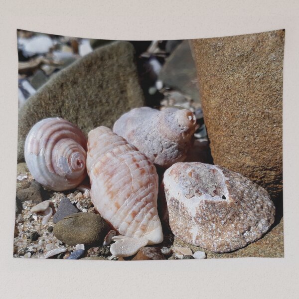 Item preview, Seashells at the Beach designed and sold by Beachy.