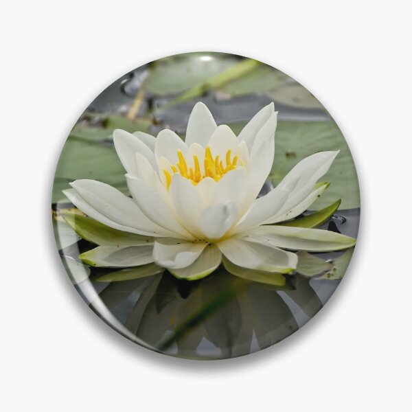 Item preview, Nenúfar blanco designed and sold by Michael Cummings.