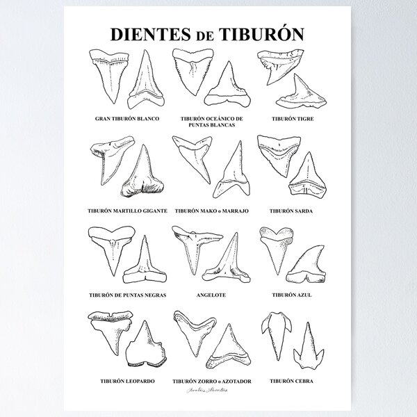 Item preview, Copia de Copia de Sharks designed and sold by BEATRIZ ABAITUA.