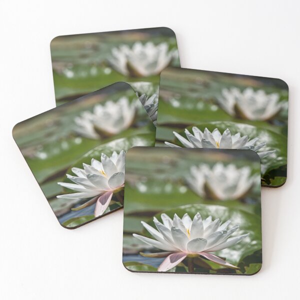 Item preview, White Waterlily designed and sold by Michael Cummings.