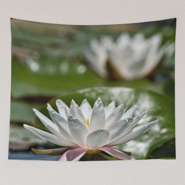 Item preview, White Waterlily designed and sold by Michael Cummings.