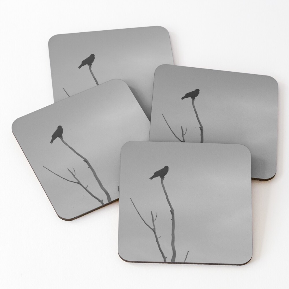 Item preview, Coasters (Set of 4) designed and sold by Chumpy1976.