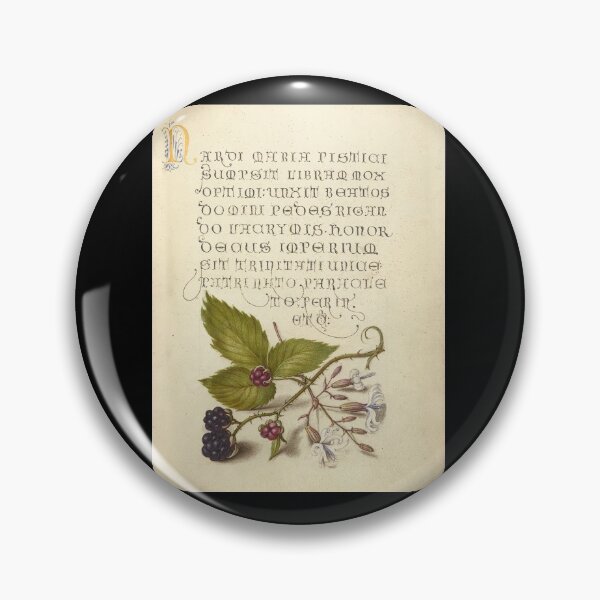 Item preview, Blackberry and Nottingham Catchfly, Antique Print designed and sold by Salocin.