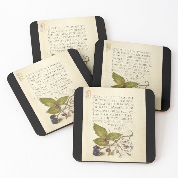Item preview, Blackberry and Nottingham Catchfly, Antique Print designed and sold by Salocin.