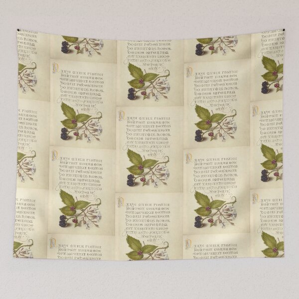 Item preview, Blackberry and Nottingham Catchfly, Antique Print designed and sold by Salocin.