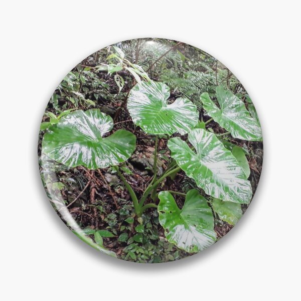 Item preview, Green tropical forest Rainforest Botanical designed and sold by Tanja Dianova.
