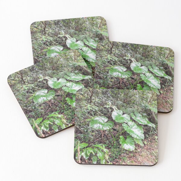 Item preview, Green tropical forest Rainforest Botanical designed and sold by Tanja Dianova.