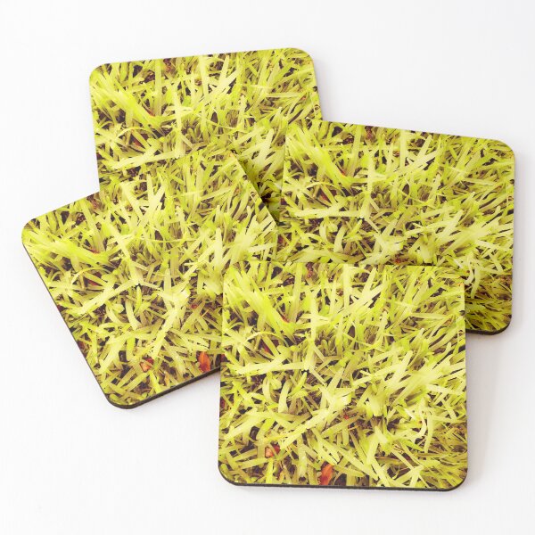 Aperçu de l'œuvre Herbe jaune créée et vendue par Designs By YL.
