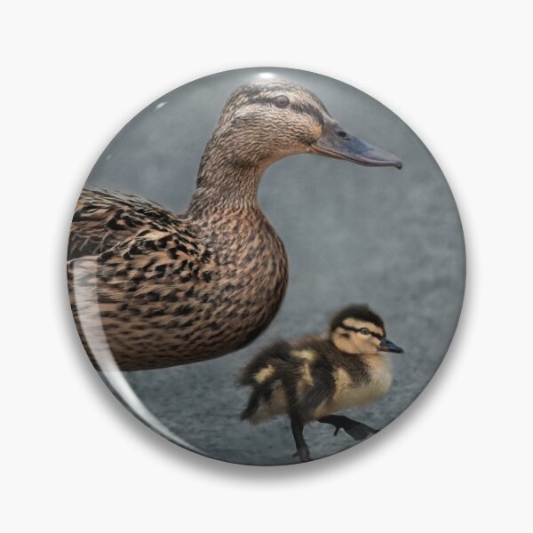 Item preview, Duck Walk designed and sold by Sara Sadler.