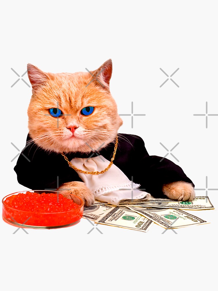 "ginger cat" Sticker for Sale by Max1876 | Redbubble
