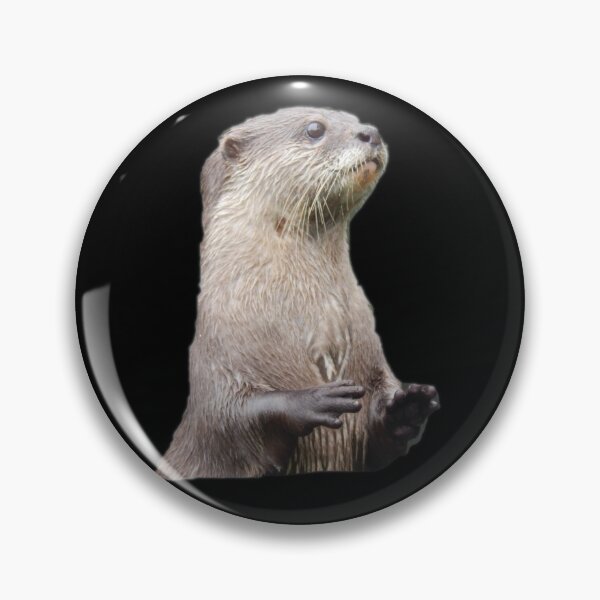 Item preview, Otter designed and sold by nastogy.